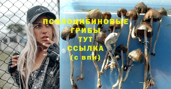 ALPHA PVP Абинск